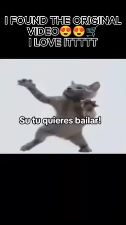 OG CHIPI CHIPI CHAPA