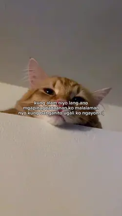 kung alam nyo lang
