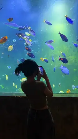 vlog aquarium