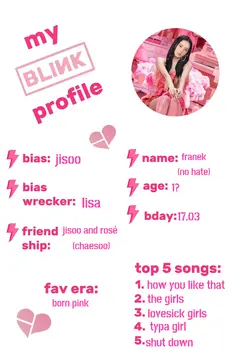 blink profile