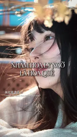 2 ảnh nhạc trung
