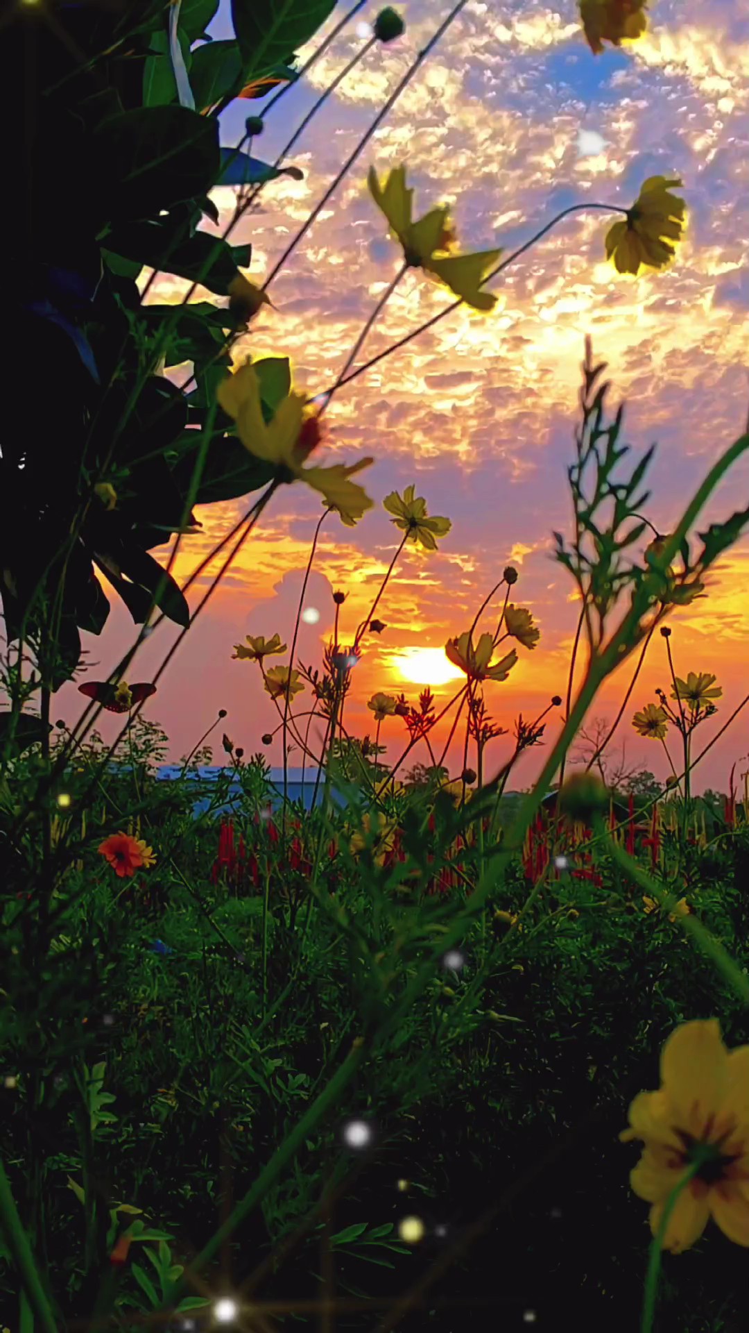 ងាកមើលពីរទង្វើខ្លួន