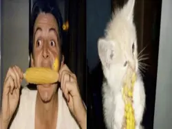 I HAD TO SPEED UP TH