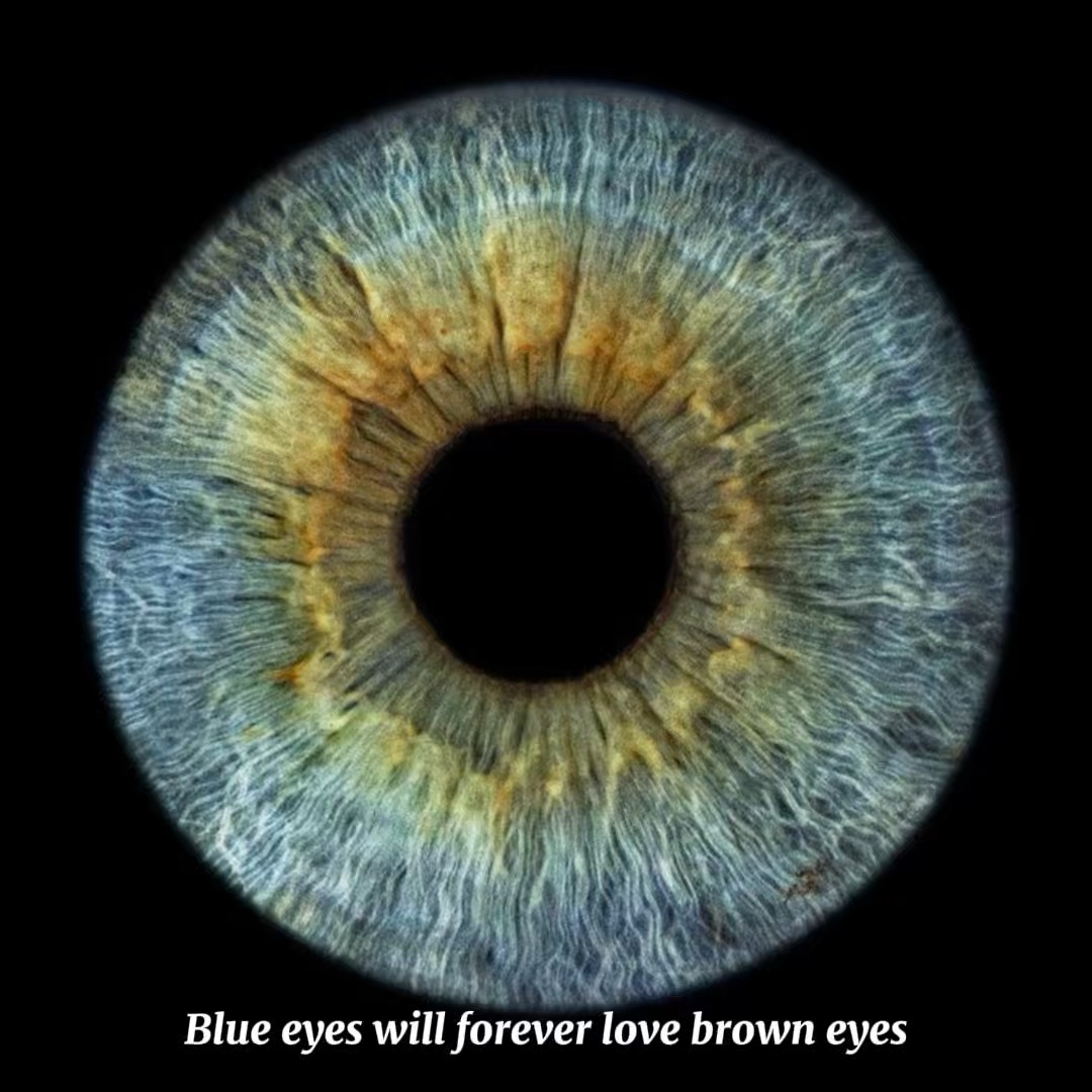 Blaues und braunes Auge