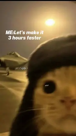 trend cat pilot