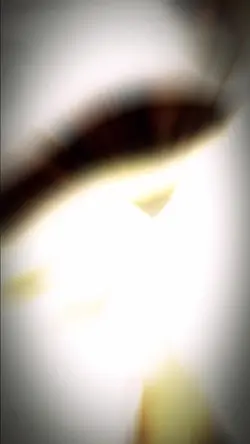 CA Shift Lens