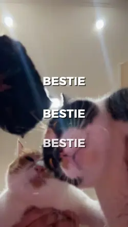 bestie bestie bestie