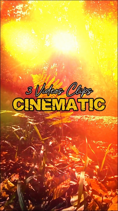 3 Clips Vidéos 