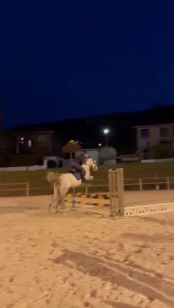 Ralentit fluide