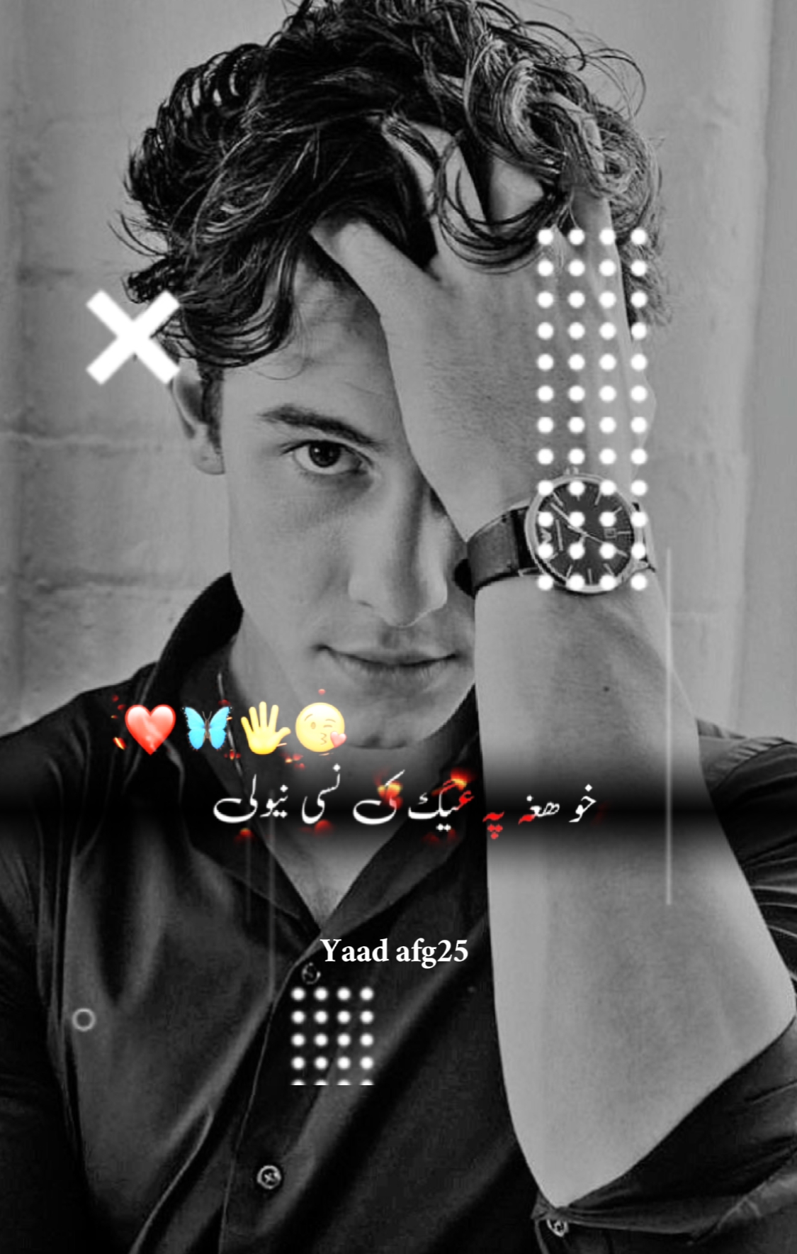 Cover Picture
