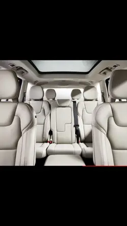 Singing in the car 🤠