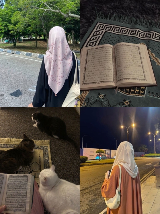 Arabic songs 4 foto