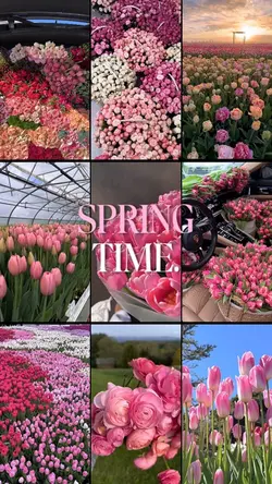 Spring time🌸