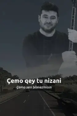Seyda Perinçek çemo 