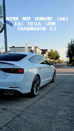 Traumauto Tesla🤢
