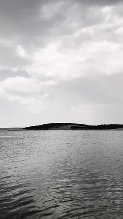 Yeni Yıl Beklentisi