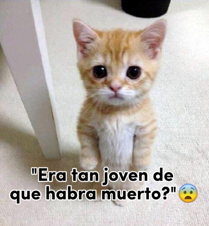 lo volví a hacer xd