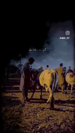 Qurbani