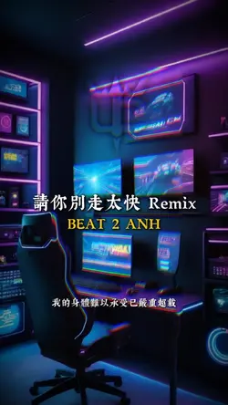 請你別走太快 Remix