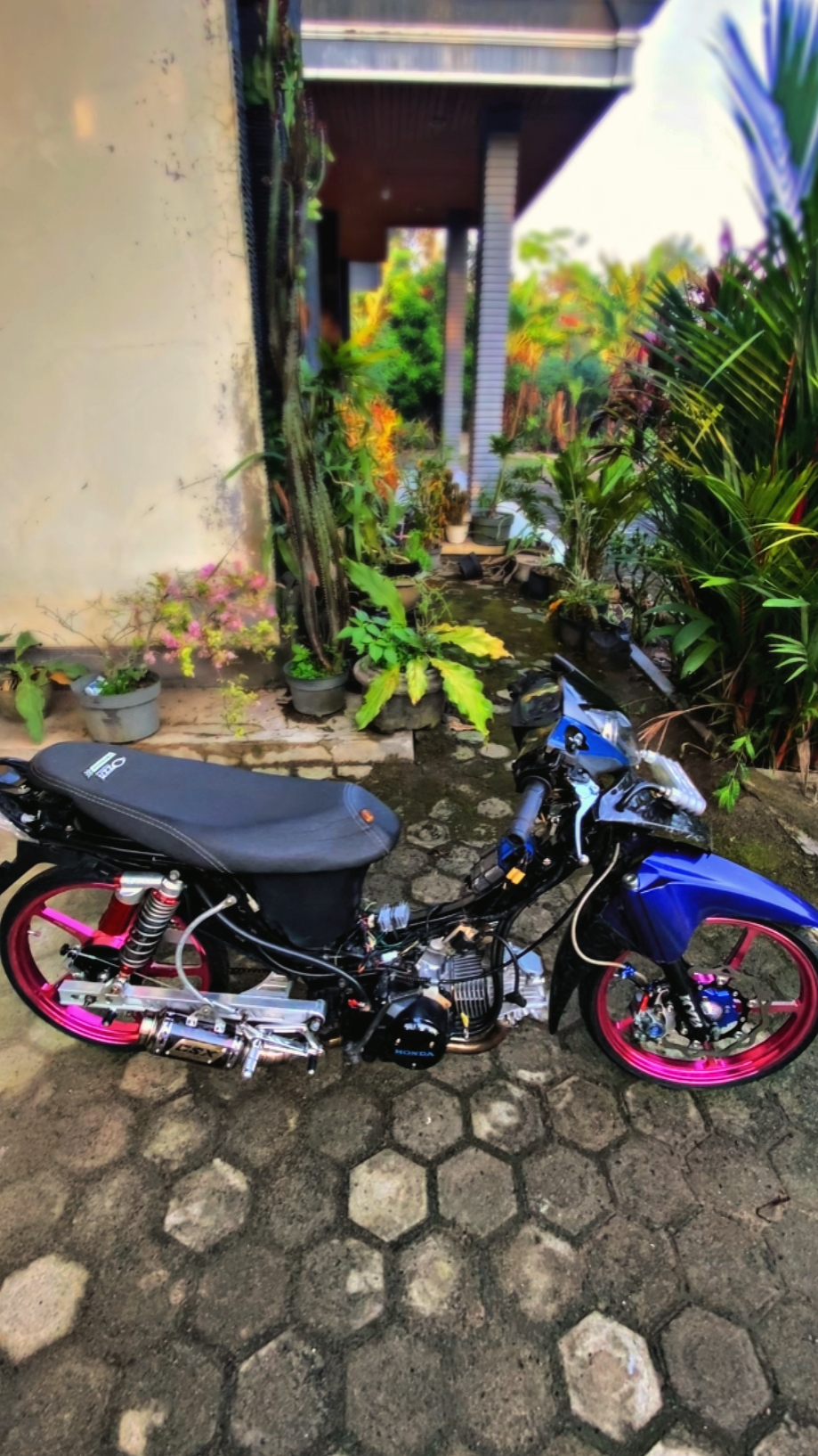 Live ng Paa + Filter HD