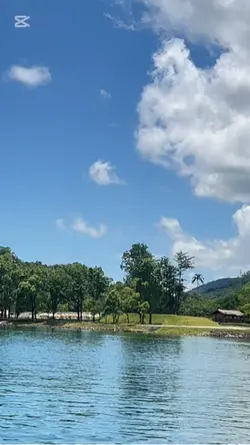 情歌