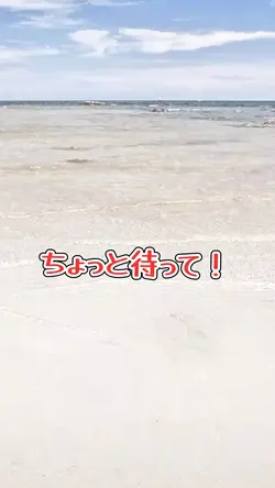 レビューvlog
