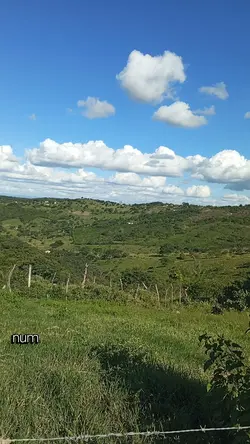 castelo de amor 
