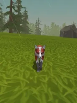 wildcraft edit ✨💕