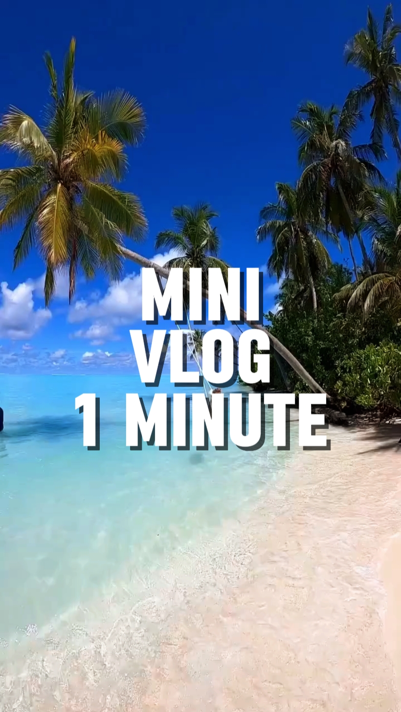 1minute vlog 