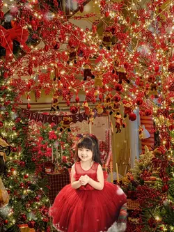 Ghép ảnh giáng sinh