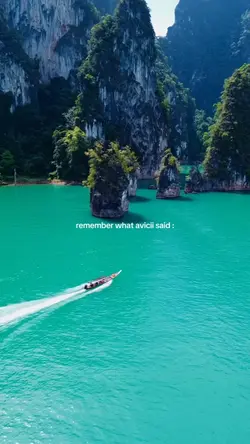 what avicii said: