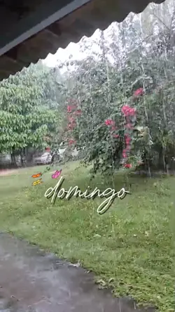 domingo