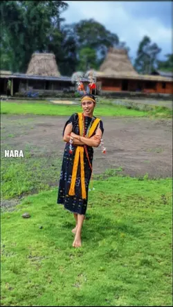 weta bue bajawa