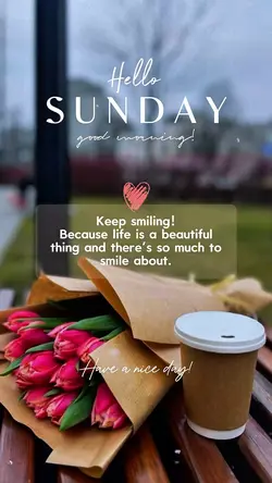 Hello Sunday ❤️