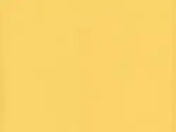 ╰► აꭎ⃜ⴄẜℓ𑄝⵿ꭐᧉ𐐲 ! 