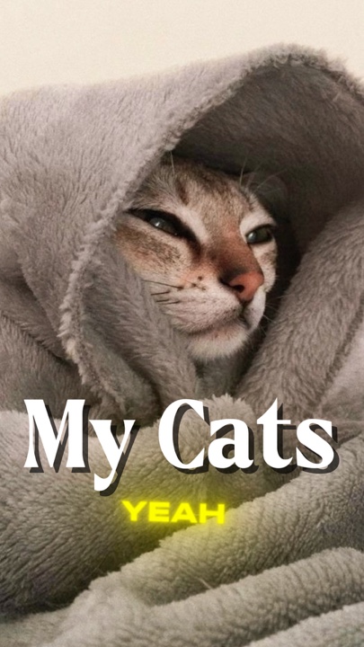 My Cats
