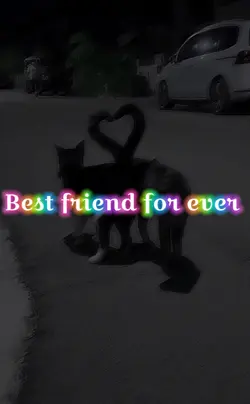 Yousse on se connais