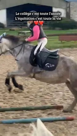 Toute la viiiie ❤️🤞