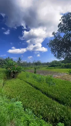 Filter + Sound Sejuk