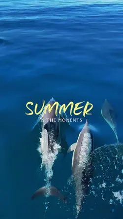 Summer in Moments