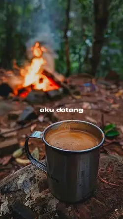aku datang melamarmu