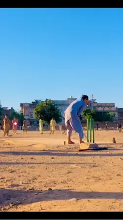 Cricket shot