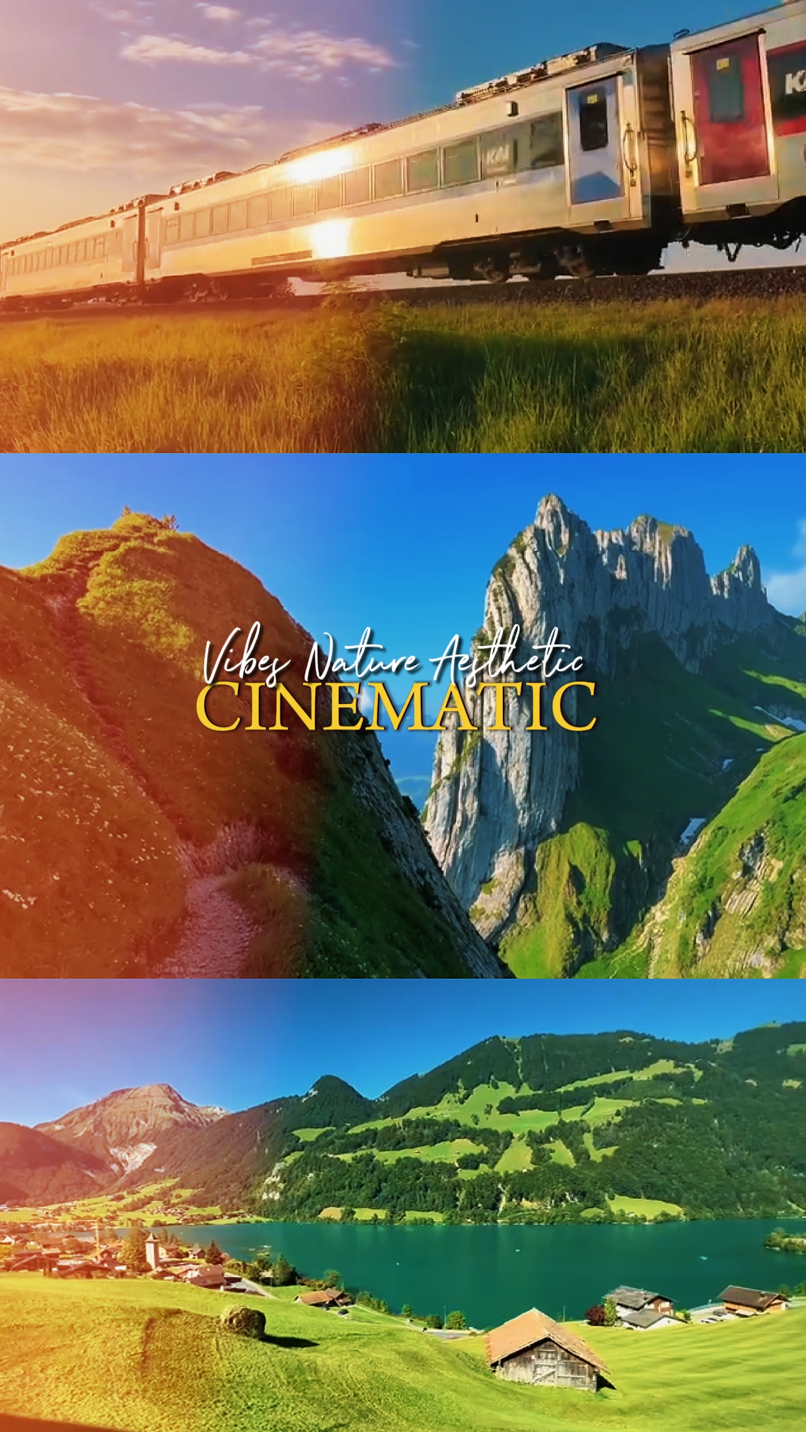 Vibes Nature cinemat