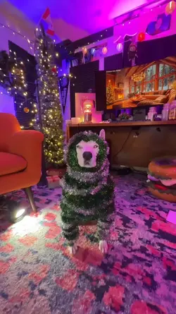 christmas dog