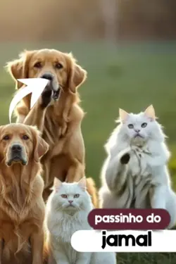 passinho do jamal 
