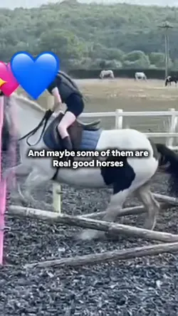 Horses 💕