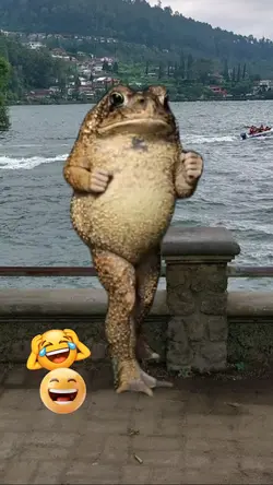 katak jogek