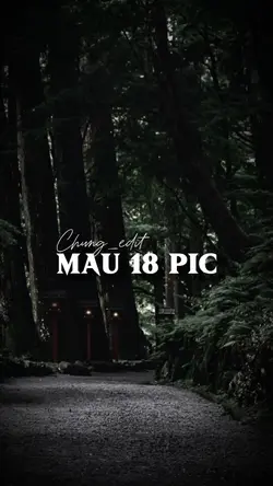 Mẫu 18 ảnh