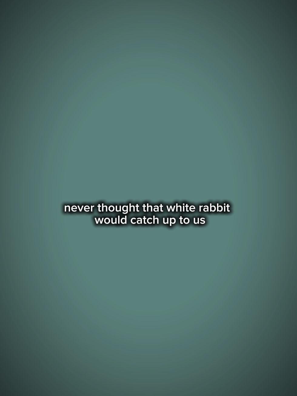 LAPIN BLANC 