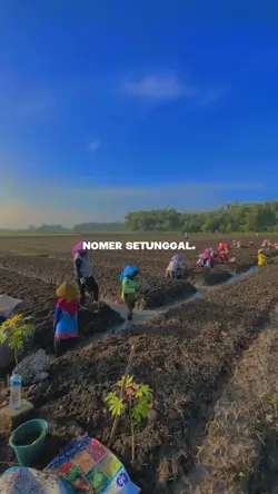 Penting Bayaran gede